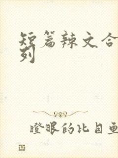 短篇辣文合集系列