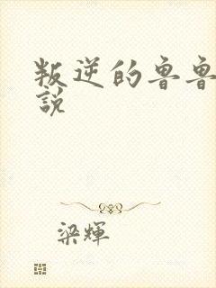 叛逆的鲁鲁修小说