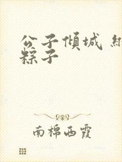 公子倾城 维和粽子