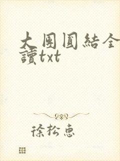 大团圆结全文阅读txt