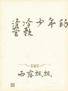 清冷少年的严厉管教