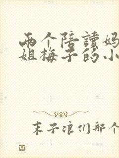 两个陪读妈妈赵姐梅子的小说