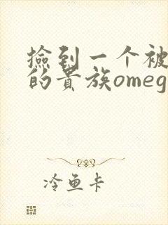 捡到一个被抹布的贵族omega