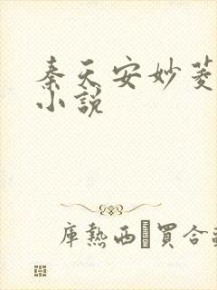 秦天安妙菱修仙小说