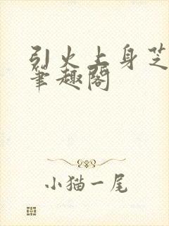 引火上身芝麻糖笔趣阁