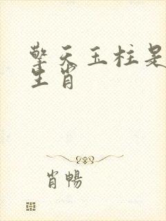 擎天玉柱是什么生肖