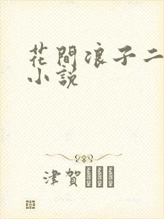 花间浪子二十部小说