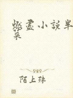 燃尽小说半截白菜