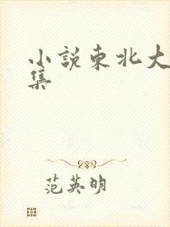 小说东北大炕全集