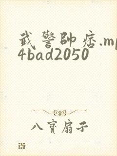 武警帅痞.mp4bad2050