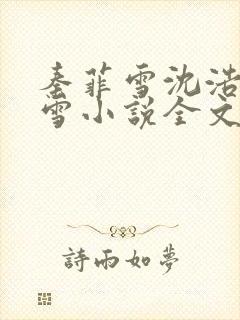 秦菲雪沈浩秦菲雪小说全文免费阅读求书