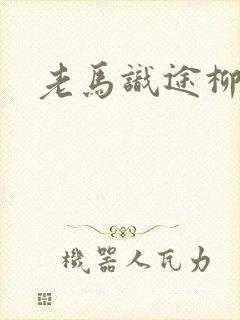 老马识途柳娇娇