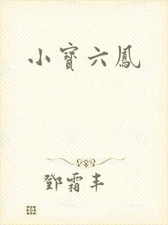 小宝六凤