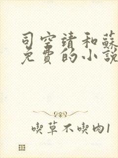 司空靖和苏月汐免费的小说笔趣阁