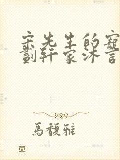 宋先生的宠妻计划轩家沐言