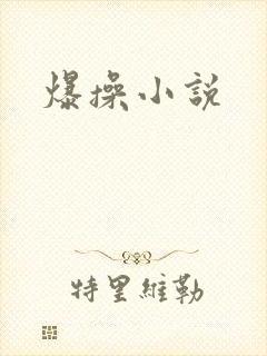 爆操小说