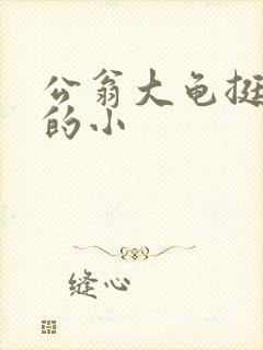 公翁大龟挺进我的小