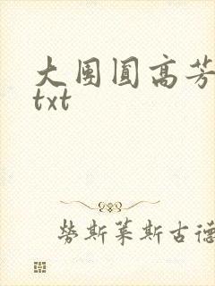 大团圆高芳小说txt