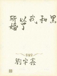 所以我和黑粉结婚了