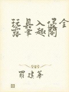 玩具入侵金银花露笔趣阁