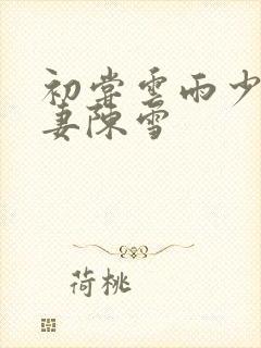 初尝云雨少妇人妻陈雪