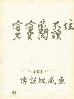 偷偷藏不住小说免费阅读