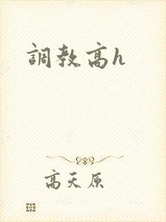 调教高h