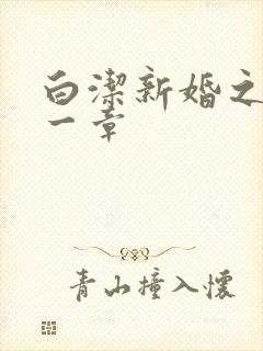 白洁新婚之夜第一章