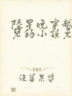 陆星晚穿越成婴儿的小说免费阅读全文