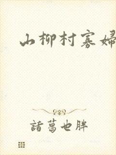 山柳村寡妇情史