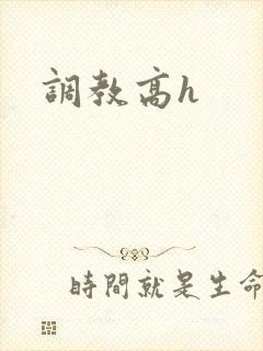 调教高h