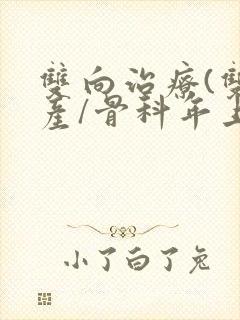 双向治疗(双/产/骨科年上)