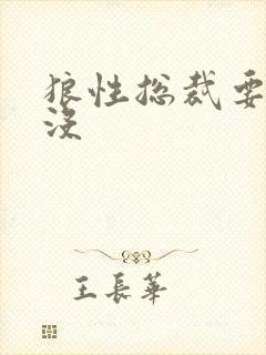 狼性总裁要够了没