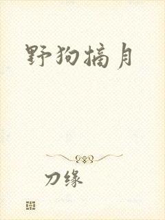 野狗摘月