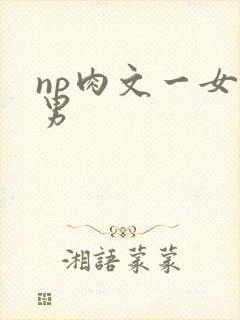 np肉文一女多男