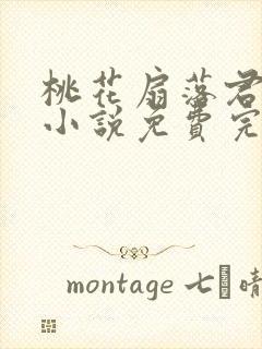 桃花扇落君不还小说免费完整版