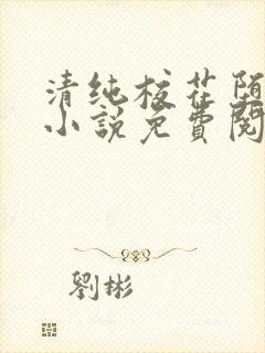 清纯校花堕落记小说免费阅读