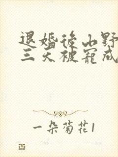 退婚后山野糙汉三天被宠成宝小说