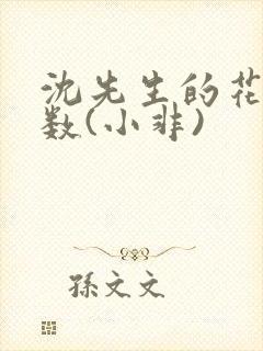 沈先生的花式调数(小非)