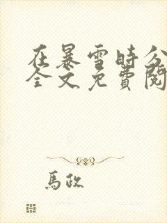 在暴雪时分小说全文免费阅读