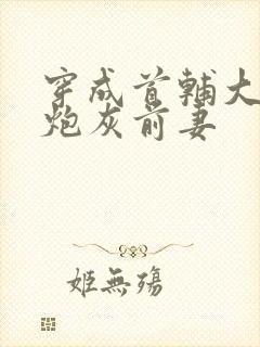 穿成首辅大人的炮灰前妻