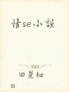 情se小说