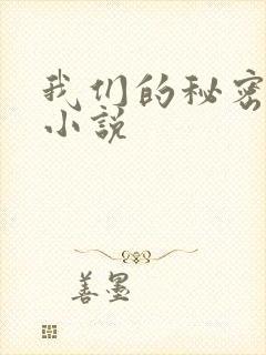我们的秘密泰剧小说