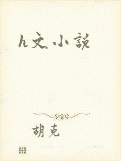 h文小说