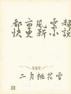 都市风云超前超快更新小说