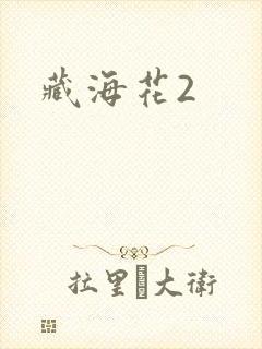 藏海花2