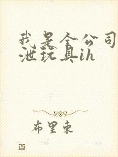 我是全公司的发泄玩具ih