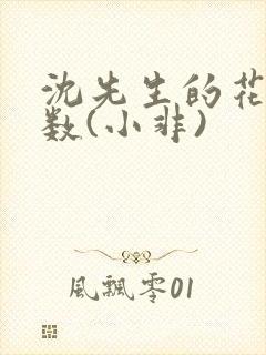 沈先生的花式调数(小非)