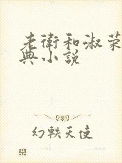 老卫和淑荣的经典小说