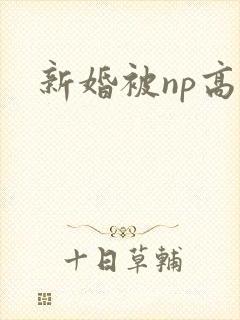 新婚被np高h